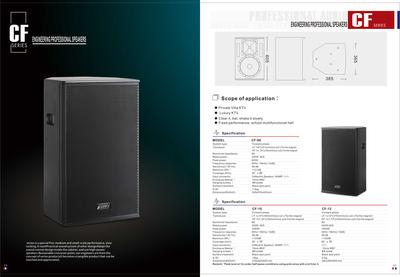 Engineering professional &nbsp;speaker