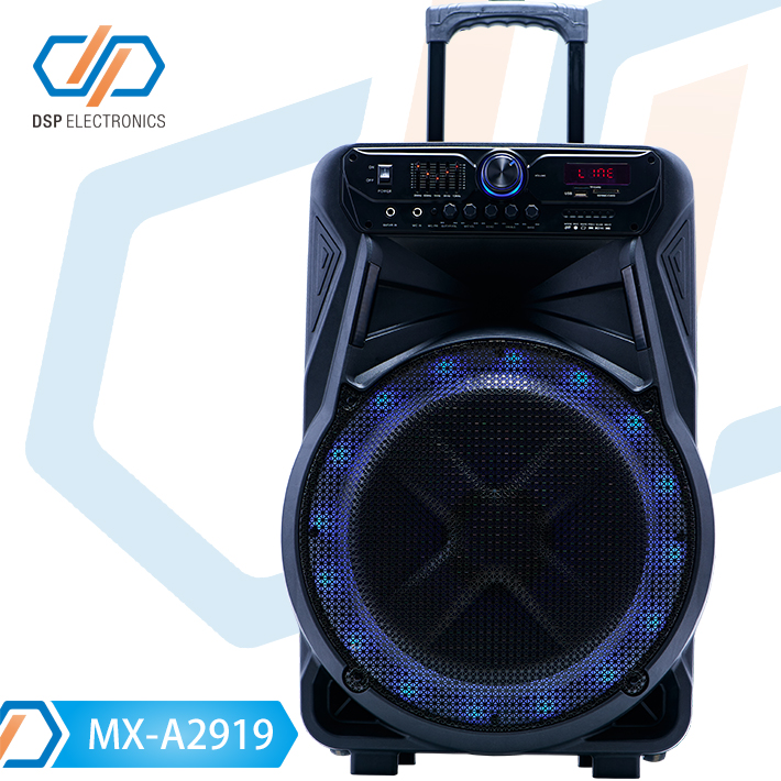 MX-A2919-2.jpg