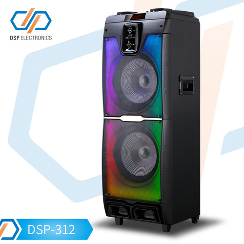 DSP-312 (12"X2)