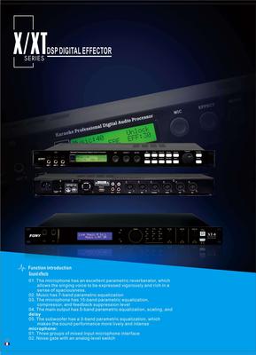 DSP DIGITAL EFFECTOR