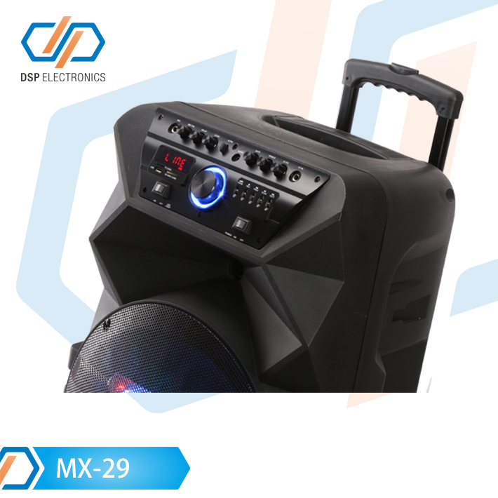 MX-29-2.jpg